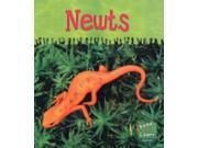 Read and Learn Ooey Gooey Animals Newts Read Learn