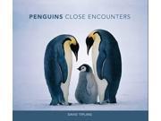 Penguins Close Encounters