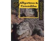 Alligators and Crocodiles Wild World