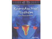 The Reproductive System Body Focus
