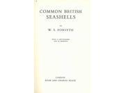 Common British Seashells