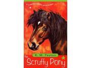 The Scruffy Pony