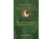 Training A Young Pointer