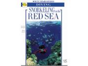 Snorkeling in the Red Sea White Star Guides