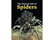 The Private Life Of Spiders