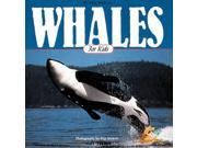 Whales for Kids Wildlife for kids