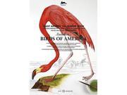 Audubon s Birds of America Giant Artists Colouring Book Giant Artists Colouring Books