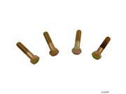 UPC 610377002424 product image for Hayward Flange Bolts (4 Pcs.) | upcitemdb.com