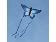 Beautiful Butterfly Kite Single Line Kite Incudes 30m String and Handle