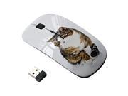 Wireless Mouse Cute Snow Cat