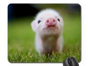 Non Slip Rubber Mousepad Baby Pig Mouse Pad 180mm x220mm x2mm