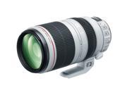 Canon EF S 10 18mm f 4.5 5.6 IS STM Lens International Version