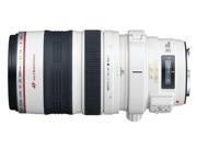 Canon EF 2.0X III Telephoto Extender for Canon Super Telephoto Lenses International Version