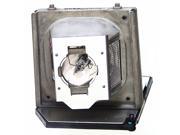 Optoma NPX3000 OEM Replacement Projector Lamp. Includes New Bulb and Housing.
