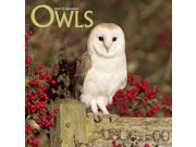 Owls Wall Calendar 2017 by Avonside
