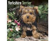 Yorkshire Terrier Puppies Wall Calendar 2017 by Avonside