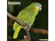 Amazons Wall Calendar 2017 by Avonside