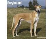 Greyhound Wall Calendar 2017 by Avonside