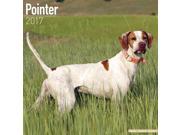 Pointer Wall Calendar 2017 by Avonside