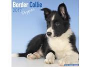 Border Collie Puppies Wall Calendar 2017 by Avonside