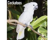 Cockatoos Wall Calendar 2017 by Avonside