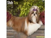 Shih Tzu Wall Calendar 2017 by Avonside