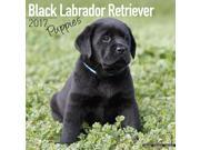 Black Labrador Puppies Wall Calendar 2017 by Avonside
