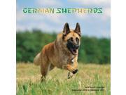 German Shepherds Wall Calendar 2017 by Magnum