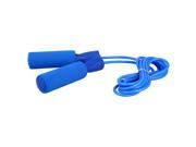 THZY Skipping Rope Quickness Coordination Fitness Exercise Training Boxing Jumping PVC Cord Adjustable Speed Sport blue