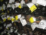 04 05 06 07 BMW 525i 530i Rear Axle Shaft 48K OEM 04 05 06 07 BMW 525i 530i Rear Axle Shaft 48K OEM