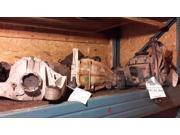01-04 2001-2004 Mazda Tribute Rear Carrier Assembly 116K OEM 01-04 2001-2004 Mazda Tribute Rear Carrier Assembly 116K OEM