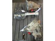 05 06 07 08 Audi A6 Rear Carrier Assembly 111K Miles OEM LKQ 05 06 07 08 Audi A6 Rear Carrier Assembly 111K Miles OEM LKQ