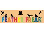 10 x3 Feather Freak Birds Bird magnet bumper Decal Vinyl magnets Decals