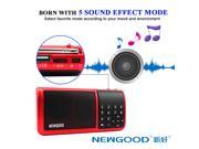 NEWGOOD Portable Stereo Radio Speakers with Enhanced Bass EQ FM Radio Built in Earphone Plug LED Display Clock 3.5 mm Audio Jack Two micro SD card slot and