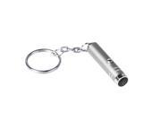 Silver Mini 1 LED Handheld Bright Torch Flashlight Lamp with Keychain Batteries