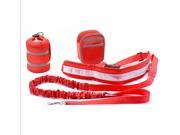 Dogs Running Runaway Pet Essential Set Reflective Traction Rope