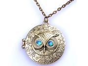 1pc Lot Whoesale Price!Fashion Temperament Female Vintage Owl Circle with Picture Box Necklace