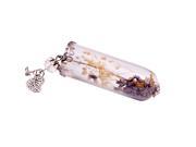 Creative Lavender Flower Wish Pendant Leaf Criystal Glass Bottle Necklace Gift