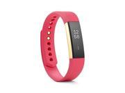 Fitbit Alta Fitness Tracker, Special Edition Gold, Pink, Large (US Version) (Large)