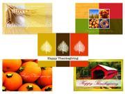 Thanksgiving Greeting Card Assortment VP1501. Business Greeting Card Featuring 5 Different Thanksgiving Greeting Cards. Box Set Has 25 Greeting Cards and 26 W
