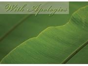 Apology Greeting Cards Y7001. Business Greeting Card Featuring With Apologies on a Green Leaf Background. Box Set Has 25 Greeting Cards and 26 Bright White En