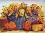 Thanksgiving Greeting Cards Bountiful Basket BB100. Business Greeting Card Featuring Puppies Next to Pumpkins and Apples. Box Set has 25 Greeting Cards and