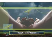 Thank You Greeting Cards T7201. Business Greeting Card Featuring Hands Holding a Budding Plant and Referral Thank You Message. Box Set Has 25 Greeting Cards a