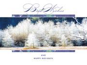 Holiday Greeting Cards H8010. Business Greeting Card with an Image of a Trees in Winter. Box Set Has 25 Greeting Cards and 26 White with Silver Foil Lined Env