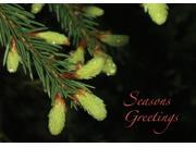 Holiday Greeting Cards H6028. Business Greeting Card with an Image of a Pine Tree Branch on a Black Background. Box Set Has 25 Greeting Cards and 26 White wit