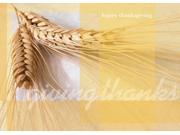 Thanksgiving Greeting Cards TH7003. Business Greeting Card Featuring Wheat and a Thanksgiving Message. Box Set Has 25 Greeting Cards and 26 White with Gold Fo