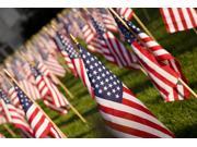 July 4th Greeting Cards Land of the Free LOTF100. Business Greeting Card with an Image of a Field of American Flags. Box Set has 25 Greeting Cards and 26 Re