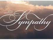 Sympathy Greeting Cards S1602. Business Greeting Card Featuring With Deepest Sympathy Written on Soft Lit Sky Background. Box Set Has 25 Greeting Cards and 26