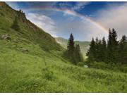 St. Patrick s Day Greeting Cards Over the Rainbow OTR100. Business Greeting Card with an Image of Rolling Hills Trees and a Rainbow. Box Set has 25 Greeti