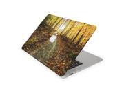 Autumn Trees Sunlight Burst on Forest Trail Skin for the 11 Inch Apple MacBook Air Top Lid and Bottom Decal Sticker